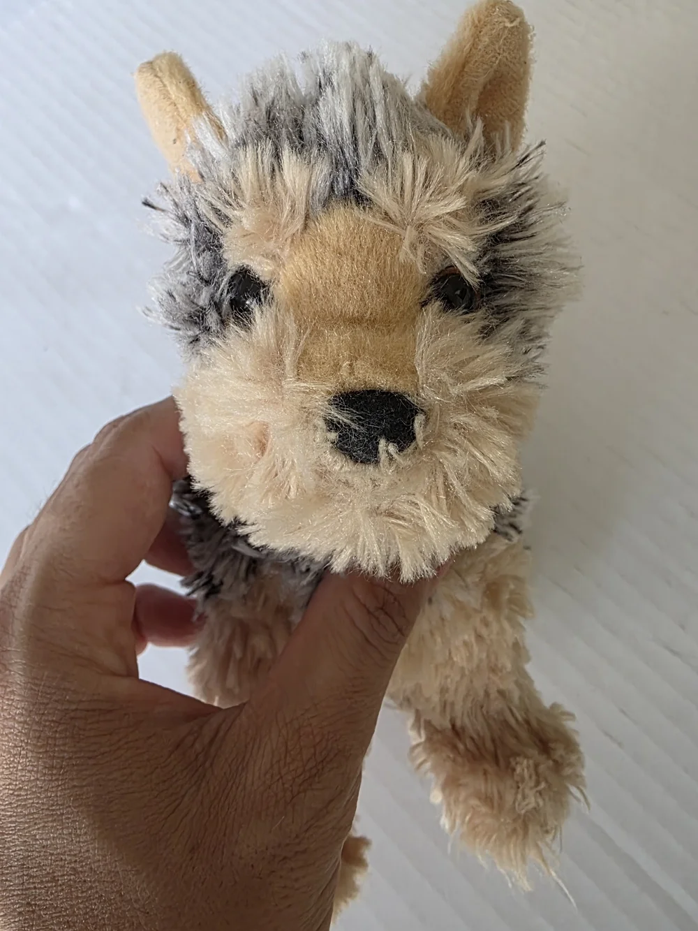 Douglas Yorkshire Terrier plush stuffed animal pocket-sized cuddle toy